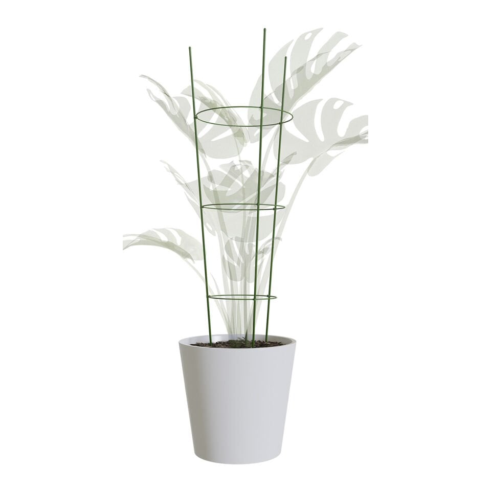 Bitki Destek Kafesi - 60 cm